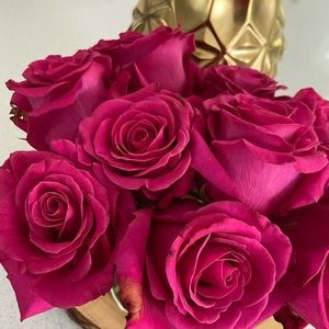 Meet your Posher, Ile